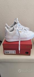 Puma carina 