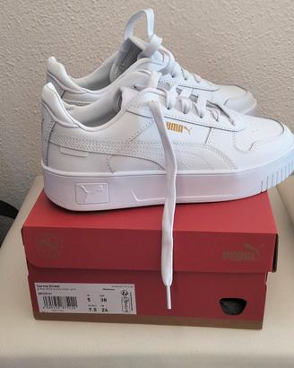 Puma carina 