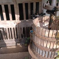 Torchio da vino antico