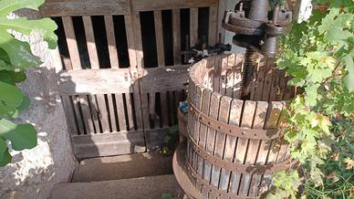 Torchio da vino antico