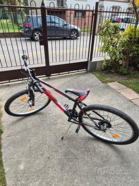 bici da ragazzo