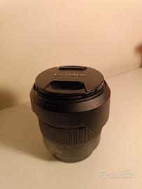 Panasonic Lumix G VARIO 12-60 mm F3.5-5.6 ASPH. PO