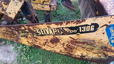 vangatrice selvatici