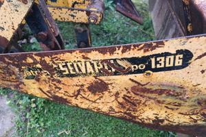 vangatrice selvatici