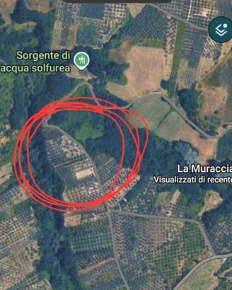 Terreno Agricolo panoramico