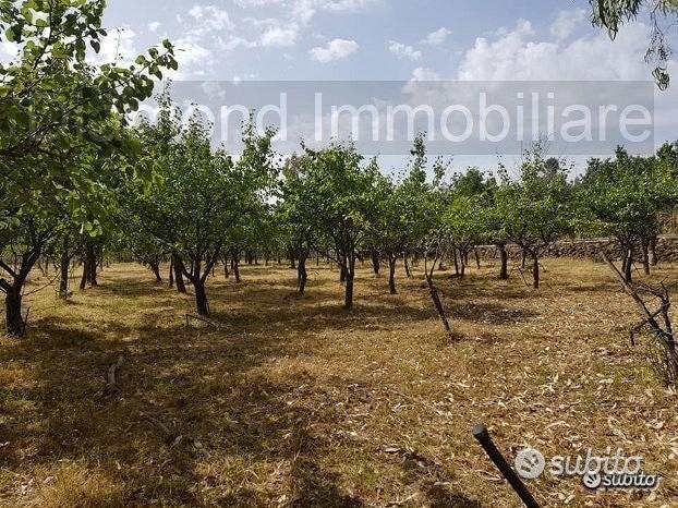 Terreno agricolo pianeggiante a Piedimonte Etneo - Vista 5