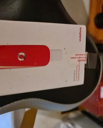 Chiavetta usb 