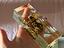 Immagine 4