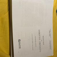 Diritto privato Torrente