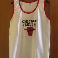 Canotte ufficiali Chicago Bulls