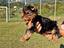 Immagine 4