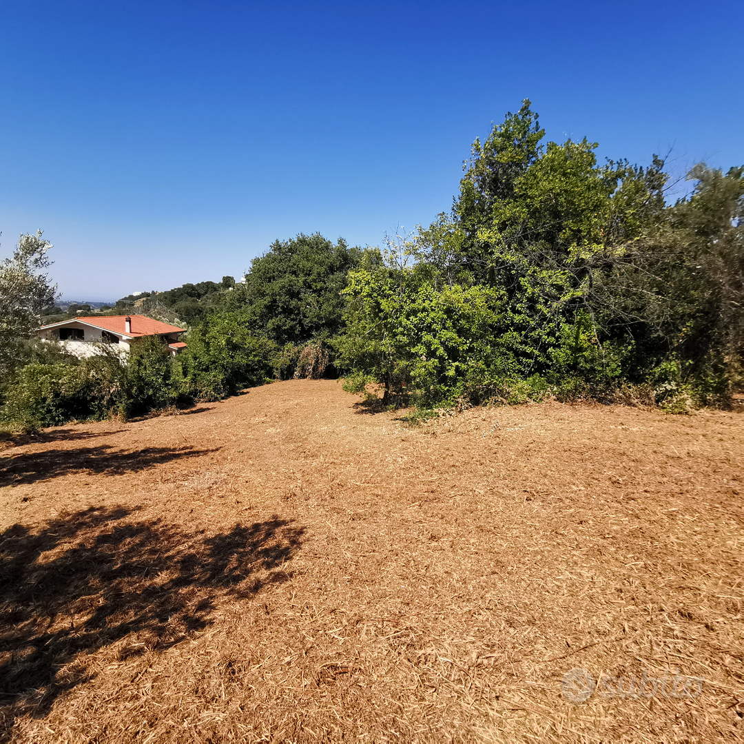 Terreno zona stadio - Vista 5