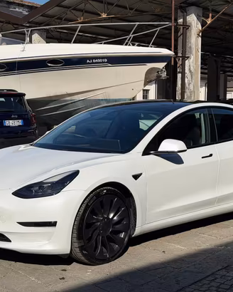 TESLA Model 3 Long Range AWD Performance