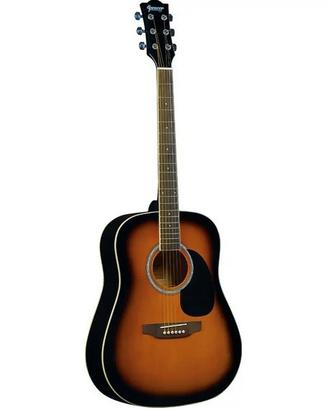 Chitarra Acustica Eko