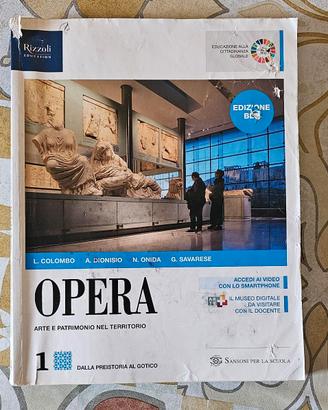 Opera arte e patrimonio del territ, 9788838330803