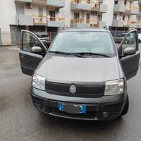 Panda 1.4 Dynamic Natural Power