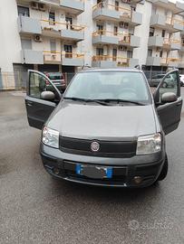 Panda 1.4 Dynamic Natural Power