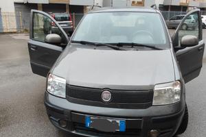 Panda 1.4 Dynamic Natural Power