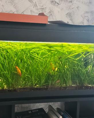 Acquario completo di mobile