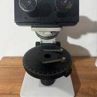 Microscopio Leitz Laborlux 11 Pol