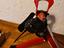 Immagine 4