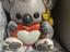 Immagine 1