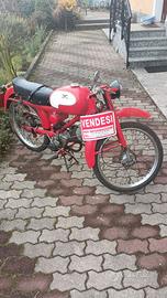 Moto Guzzi 73