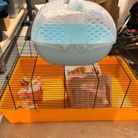 Lettiera + accessori per conigli