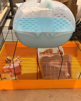 Lettiera + accessori per conigli