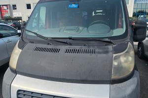 Ducato panorama 9 posti