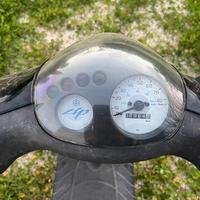Zip Piaggio