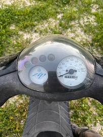 Zip Piaggio