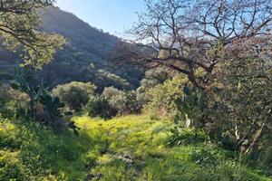 Terreno agricolo servito da strada
