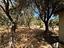 Immagine 25