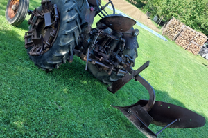 Landini testacalda L-25