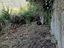 Immagine 18