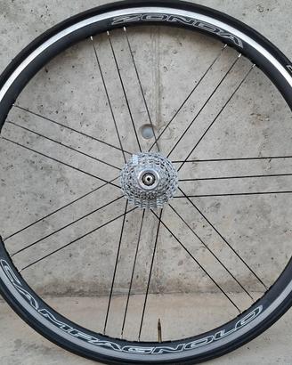 Ruote alluminio Campagnolo Zonda