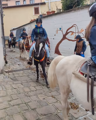 pony da salto