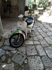 Scarabeo per Ape car