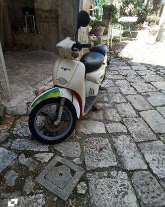 Scarabeo per Ape car