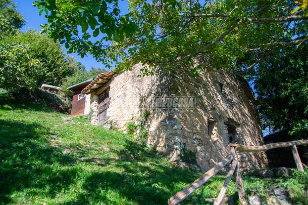 RUSTICO CON BOSCO E TERRENO AGRICOLO