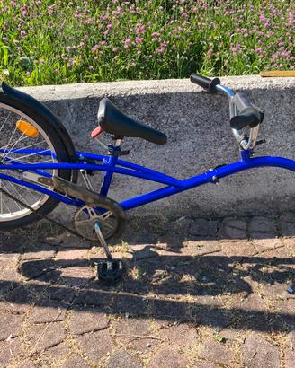 Cammellino per bici