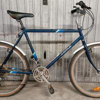 Bici MTB Airolg vintage anni 80