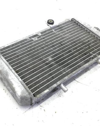 PIAGGIO HEXAGON LXT 2T 180 RADIATORE LIQUIDO RAFFR