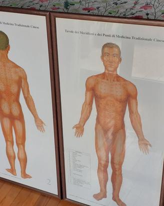 Tavole meridiani cinesi MTC SHIATSU