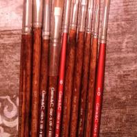 Pennelli pelo di bue