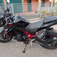 Honda Hornet CB750A 2024 con Quickshifter e 993km