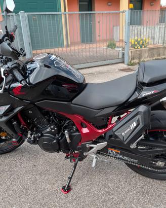 Honda Hornet CB750A 2024 con Quickshifter e 993km