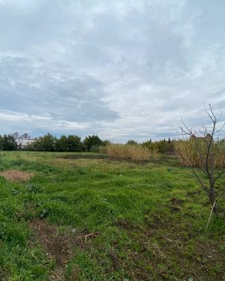 Terreno industriale 2.600MQ Via Carafiello FL338