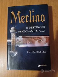 Merlino il destino di un giovane mago 